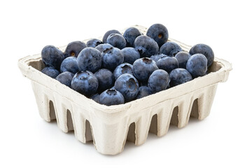 Fresh Blueberry in Container, isolated on white