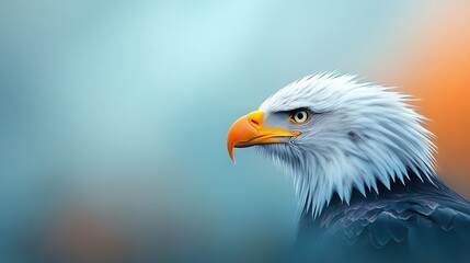 Obraz premium a bald eagle's head on an orange and blue background with a focused background