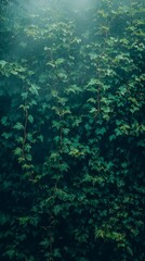 Fototapeta premium Deep Green Foliage Wall, Nature's Artistic Masterpiece
