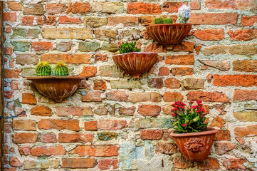  Succulents in ceramic pots as walll art in Certaldo, Tuscany, Italy