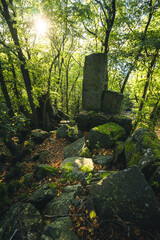 Fototapeta premium There is a large rock positioned right in the middle of a forest