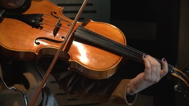 Viola Musical