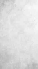 Obraz premium Elegant Light Gray Concrete Texture Background