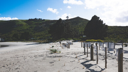 Beautiful sandy beach otago peninsula new zealand dunedin calm ocean water clear blue sky