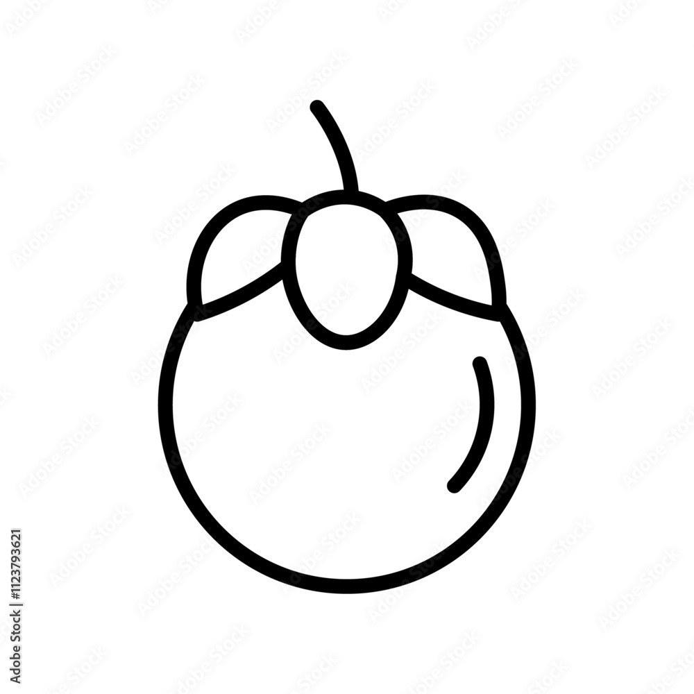 Poster Mangosteen icon Outline vector for web ui