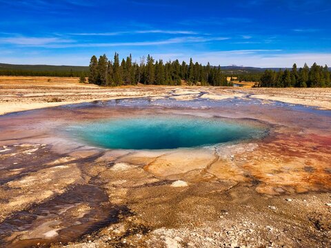Opal Pool in the Midway Geyser Basin, Yellowstone National Park in Wyoming.