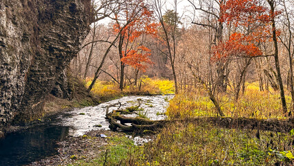 Creek In Fall In Iowa