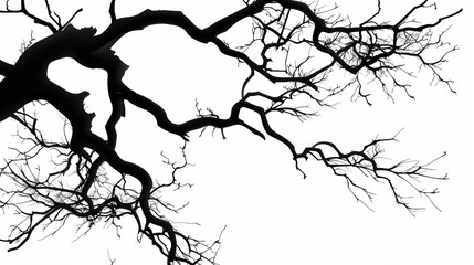 Obraz premium Black tree branches on a white background in a simple vector art style with a flat design and simple details in a minimalist style.
