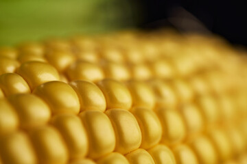 Close-up yellow corn kernels texture background macro shot fresh organic food agriculture healthy eating concept