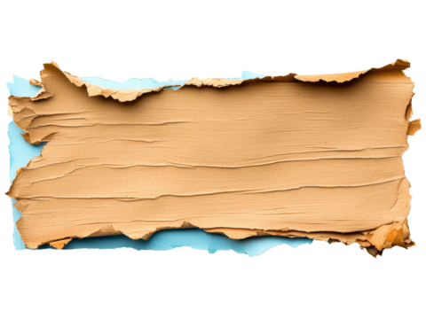 Torn Paper Edges on Light Blue Background with Text Space Available