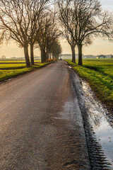Fototapeta premium Long straight dirt road with a puddle of water and mud in the verge. At the end of the road a car approaches with the lights on. The photo was taken in a Dutch polder at the end of a sunny afternoon.