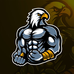 Eagle character design vector, vector elements, vector stickers