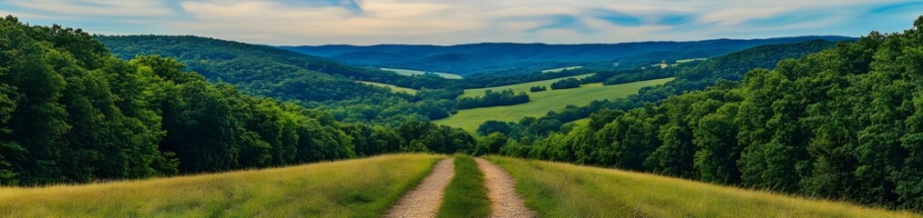 Obraz premium A scenic view of rolling hills and a dirt path through lush greenery under a cloudy sky.