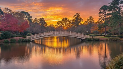 Fototapeta premium A white bridge over a calm lake with a golden sunset reflecting on the water.