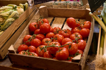 tomatoes in a basket