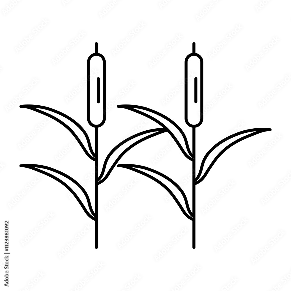 Aufkleber reeds plant outline icon.vector flat black simple linear ilustration for web and app..eps