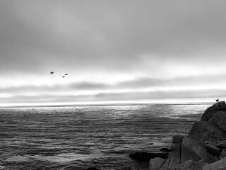 Pebble Beach coastal view ocean view