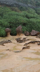 대만, 여행, 투어, 자유여행, 자연, 침식, 풍화, 지질, 화산, 부산물, 도전, 풀, 식물, 비, 날씨, 흐림, h2o, 강, 네이처, 경관, 나무, green, sky, 나무, 개울, 나무, 호수, 목초, 공원, 여름, 바위, 마운튼, 모래, 바위, 길거리, 여행, 물가, 바다