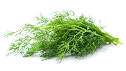 Fresh dill herb bunch isolated on white background. (1)