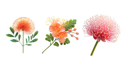 Photorealistic Mimosa Flower Isolated on White Background for Floral Display