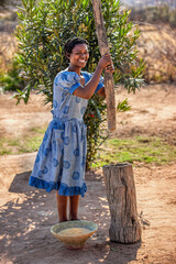 Village african woman stamping cooks with a wooden pestle into a large mortar to prepare flour...