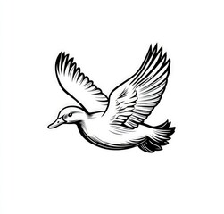 Fototapeta premium Black and white illustration of a duck in flight. (2)