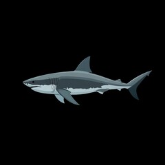 Fototapeta premium A Detailed Illustration of a Great White Shark Swimming in the Ocean