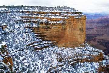 The Grand Canyon 11