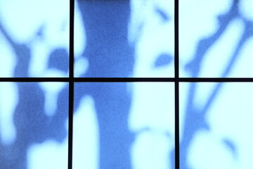 障子戸に光が描く影絵のアート