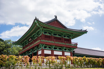 Obraz premium Woljeonggyo Korean traditional bridge at summer in Gyeongju, Korea