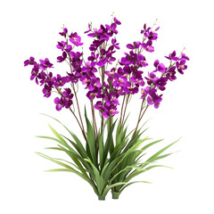 Fototapeta premium Vibrant Purple Orchid Arrangement in Natural Setting