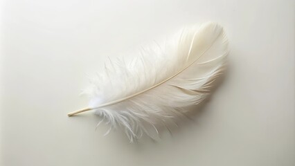 Obraz premium Single Delicate White Feather on a Soft Background