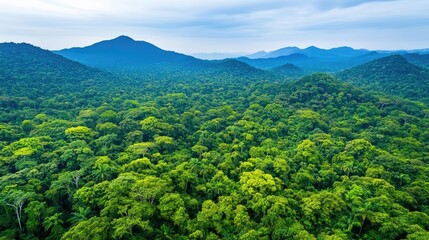 Obraz premium Lush green mountains surround a dense forest under a cloudy sky, showcasing nature's beauty.