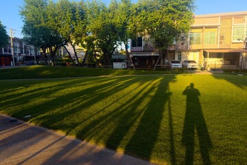 Obraz premium house in the garden