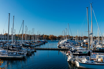Fototapeta premium A large number of boats are docked in a marina