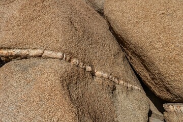 Dike or dyke.  Weathered Granitic Rocks. White Tank Quartz Monzonite. Skull Rock Nature...