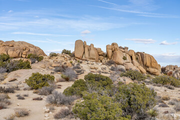 Weathered Granitic Rocks. White Tank Quartz Monzonite. Skull Rock Nature Trail，Joshua Tree...