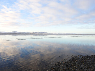 Fototapeta premium fotos varias