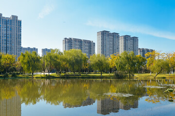Beautiful landscape of golden autumn season at Yinzhou Park in Ningbo, Ningbo, Zhejiang, China
