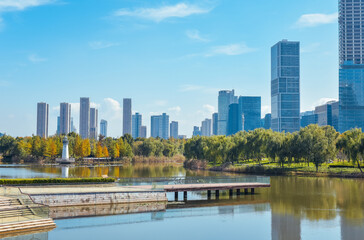 Fototapeta premium Beautiful landscape of golden autumn season at Yinzhou Park, with background of modern buildings of Southern Business District (Ningbo CBD) in Ningbo, Ningbo, Zhejiang, China