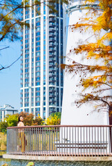 Fototapeta premium One Asian woman enjoying beautiful landscape of golden autumn season at Yinzhou Park, with white lighthouse and redwood trees in Ningbo, Zhejiang, China