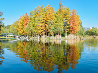 Beautiful landscape of golden autumn season at Yinzhou Park, Ningbo, Zhejiang, China