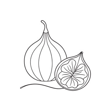 recommend clip art:  Fig fruit with leaf Continuous line art flat vector illustration.