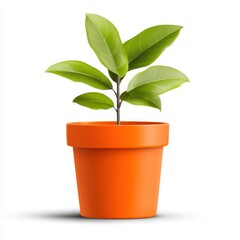 Obraz premium Fresh Green Plant in Bright Orange Pot with Lush Leaves for Home Decor and Garden