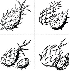 Fototapeta premium Four Black and White Stylized Dragon Fruit Silhouettes Vector Illustrations Depicting Whole and Halved Views Featuring Intricate Line Art
