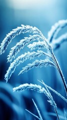 Frosted grass blades in serene blue tones