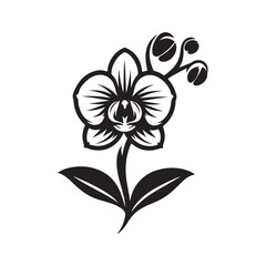 black and white flower