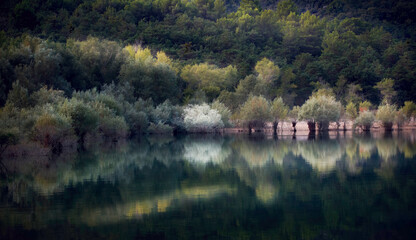 Obraz premium Lac de Ste Croix, reflet sur l'eau, Var, France