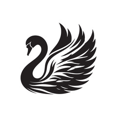 Obraz premium black and white swan