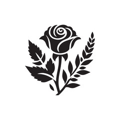 Obraz premium black and white peacock